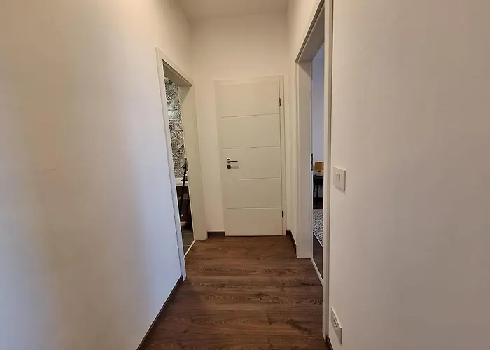 Mirvana Metheor Executive * Timisoara