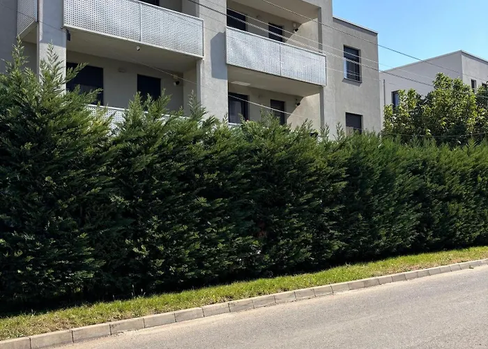 Mirvana Metheor Executive *