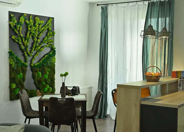 Mirvana Metheor Executive * Timisoara