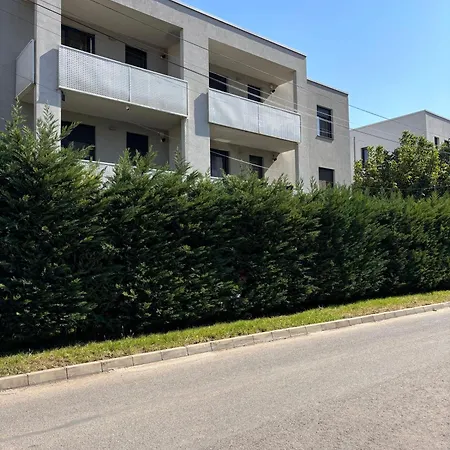 Mirvana Metheor Executive *