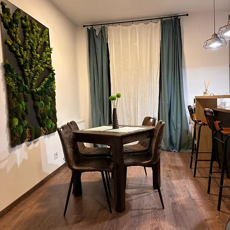 Apartman Mirvana Metheor Executive Temesvár